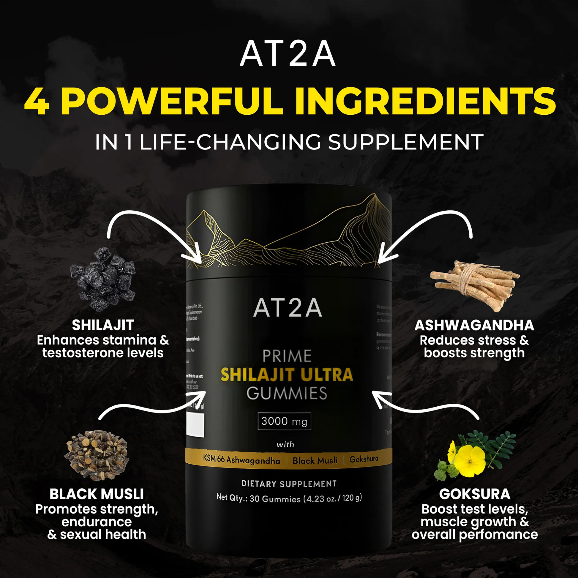 AT2A ingredients overview